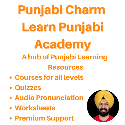 Learn Punjabi Academy - Subscription - PunjabiCharm
