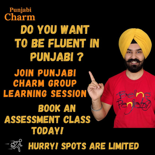 Assessment Class for Punjabi Group Classes - PunjabiCharm